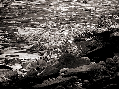 Seaweed and Surf 1 Narragansett, RI � Dave Hickey